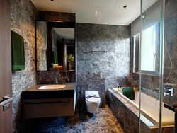 Parksuites (D10), Apartment #516945291